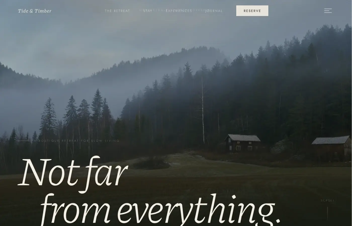 Tide and Timber homepage with a misty forest landscape and retreat introduction.